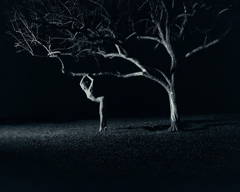 12_Moonlight.jpg