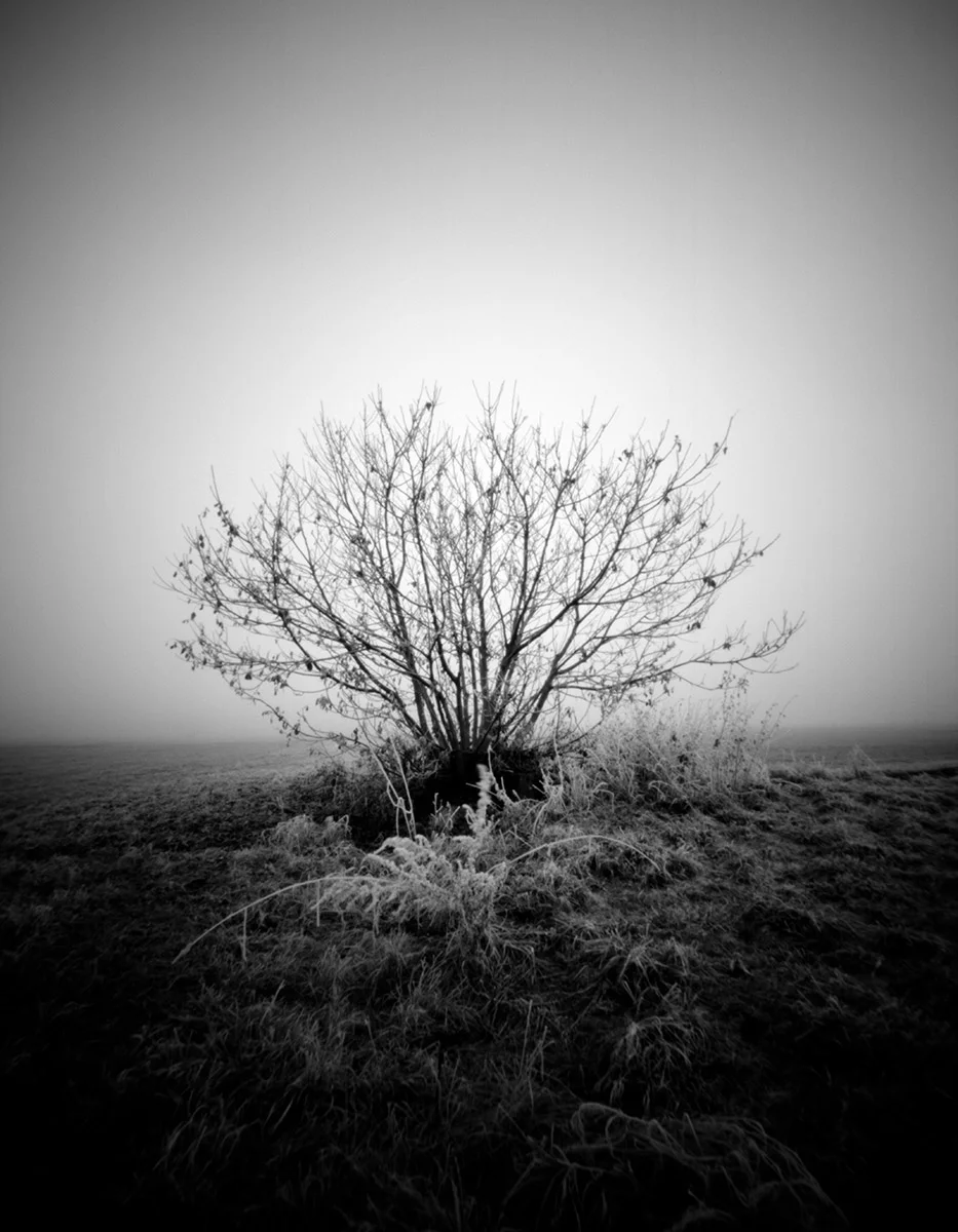 02_Camera-Obscura_Frozen.jpg