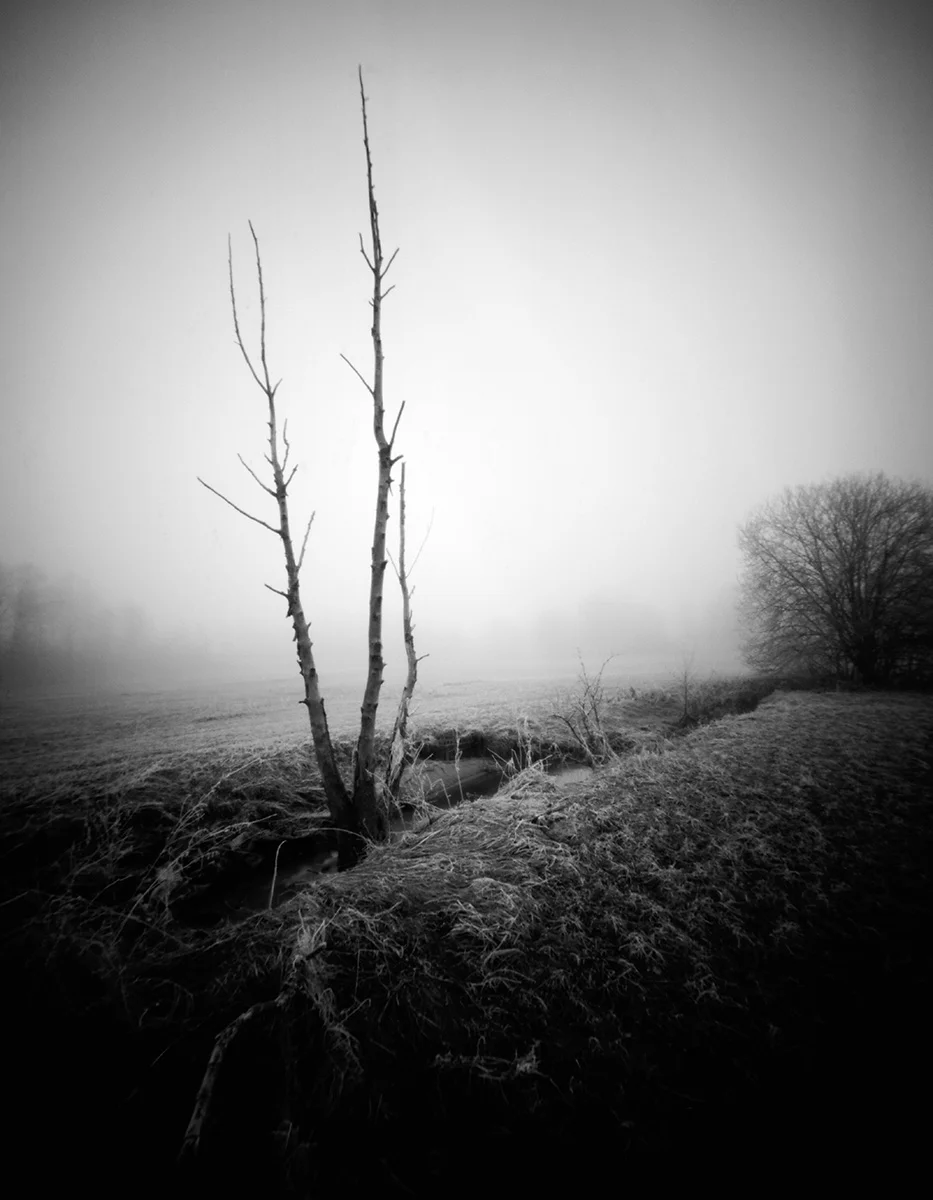 07_Camera-Obscura_Survive.jpg