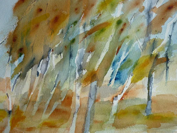 6_Fall forest Abisko.jpg