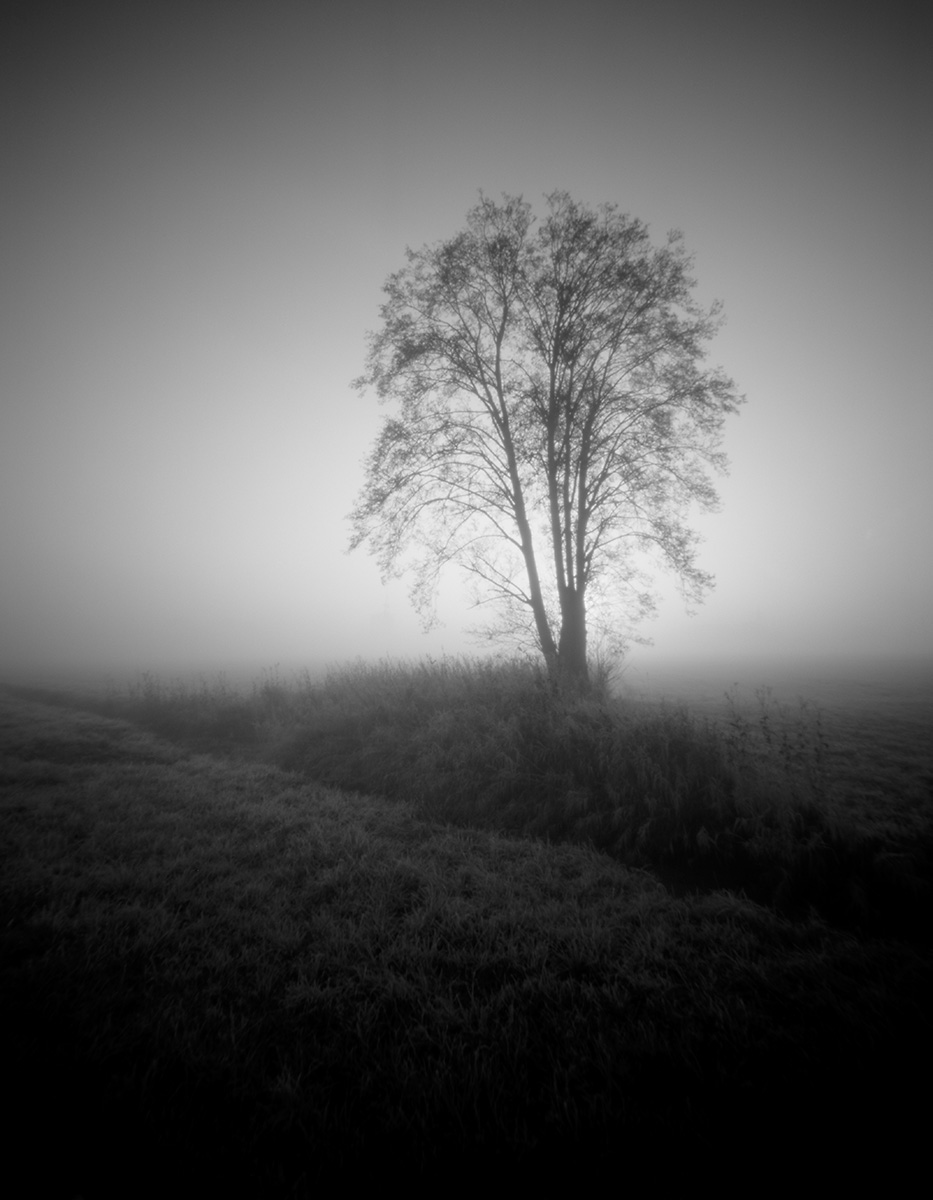 17_Camera-Obscura_Solitaire.jpg