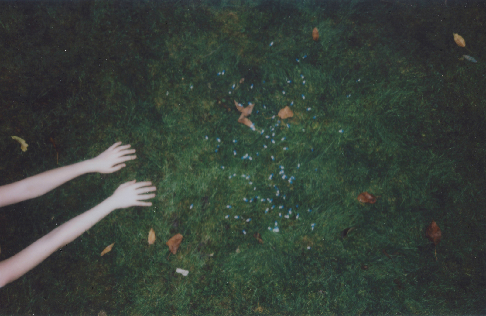 Lucas Gabellini-Fava