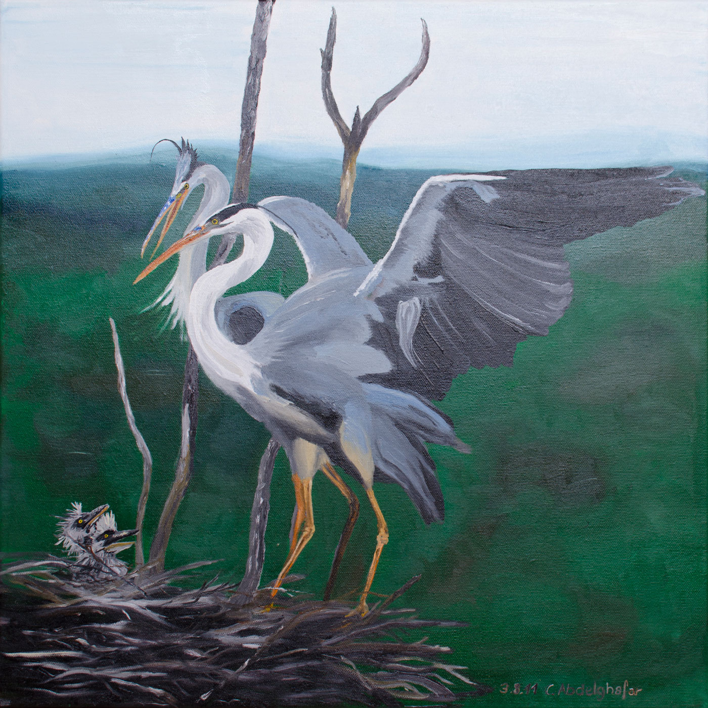 12_Grey_herons_family.jpg