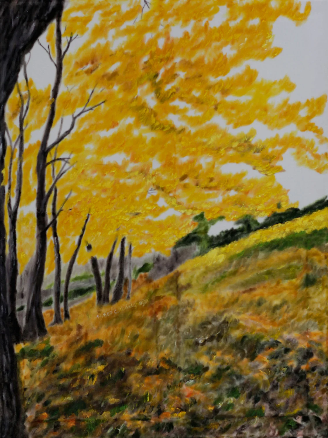 19_Forest_in_autumn.jpg
