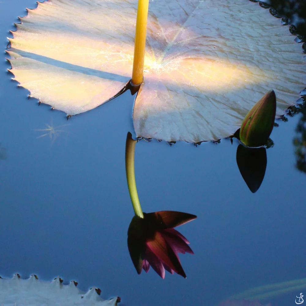 9-#F1.jpg