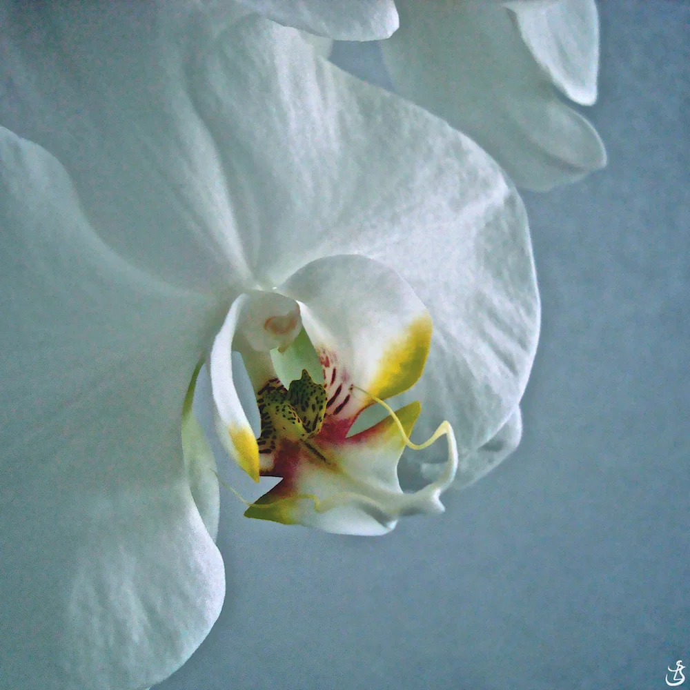 10-F6.jpg