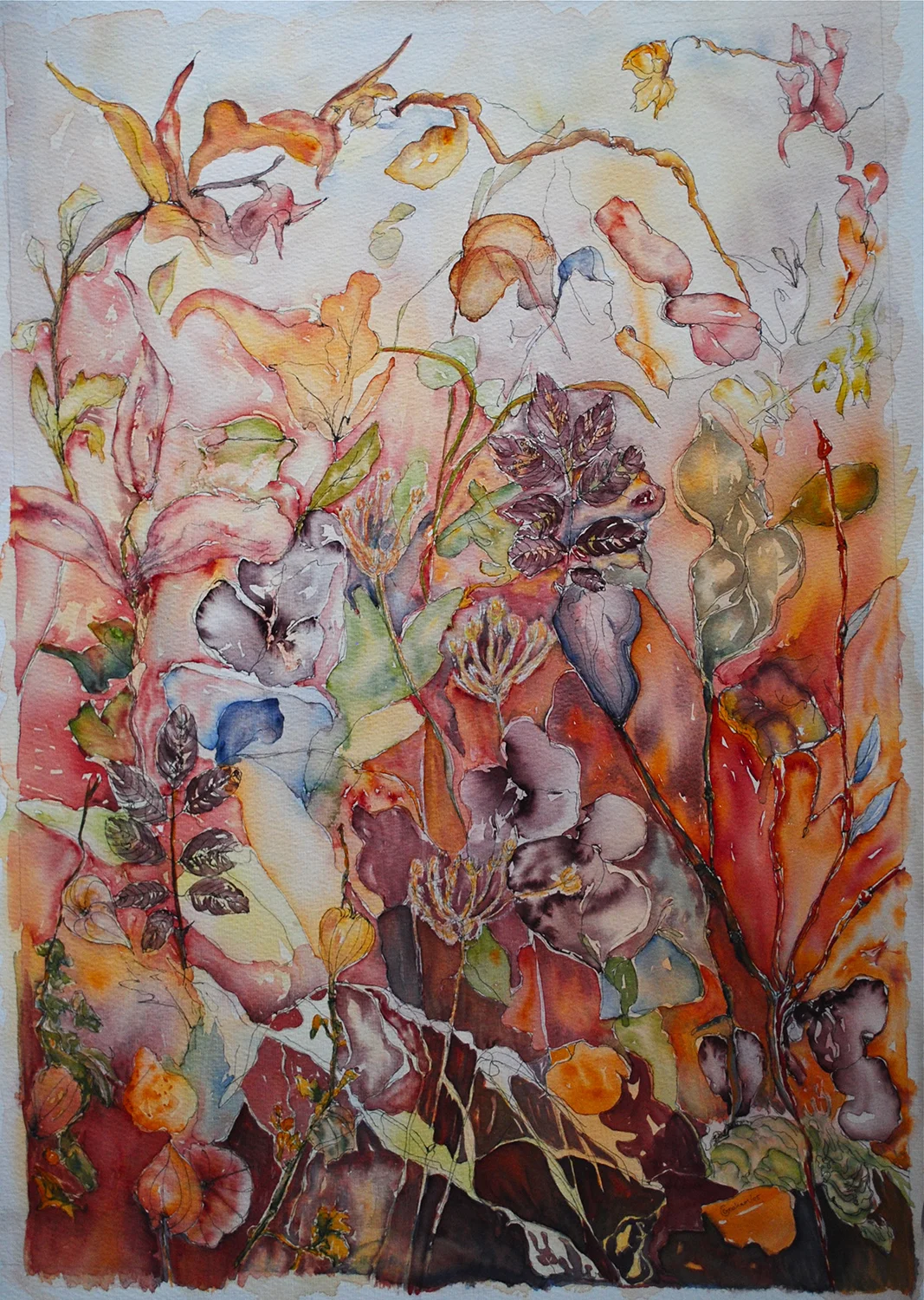 19_Autumn Splendour.jpg