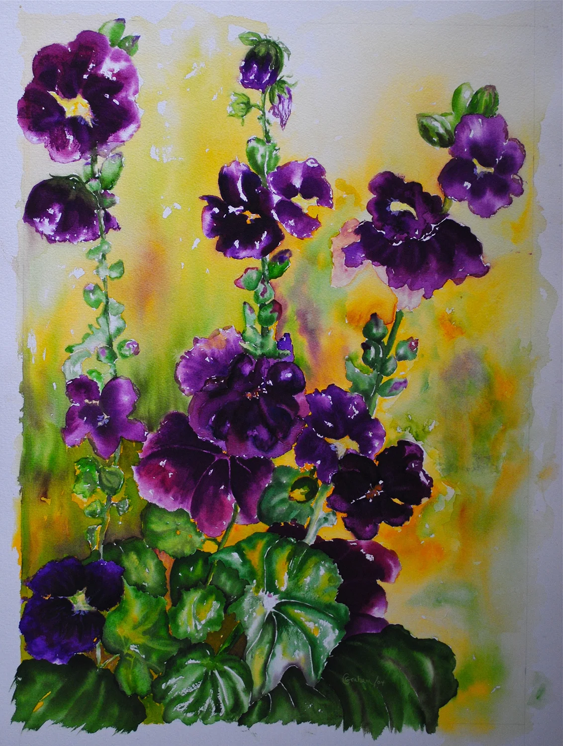 20_Hollyhock Delight.jpg
