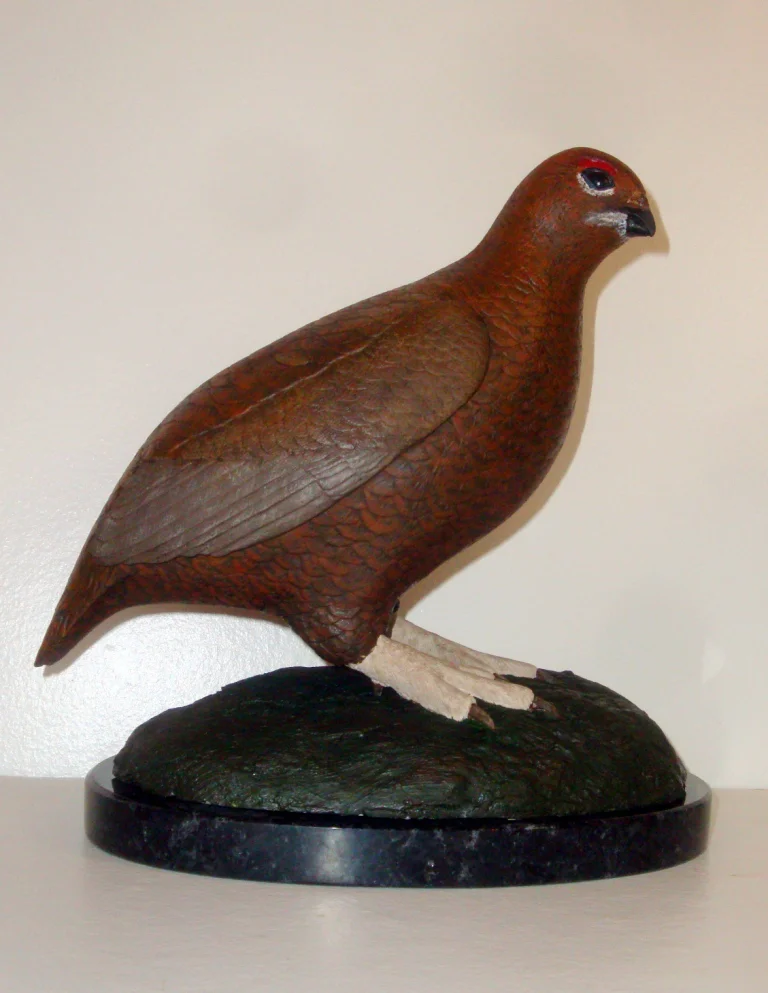 1b - Female Red Grouse.JPG