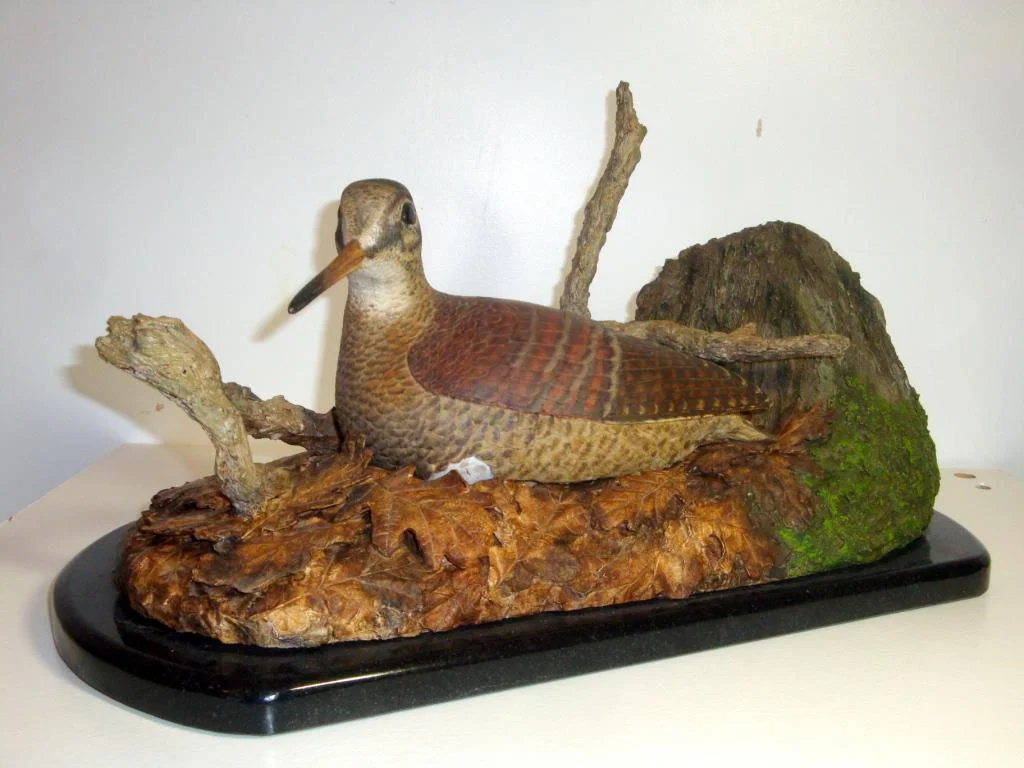 5b - Woodcock.JPG