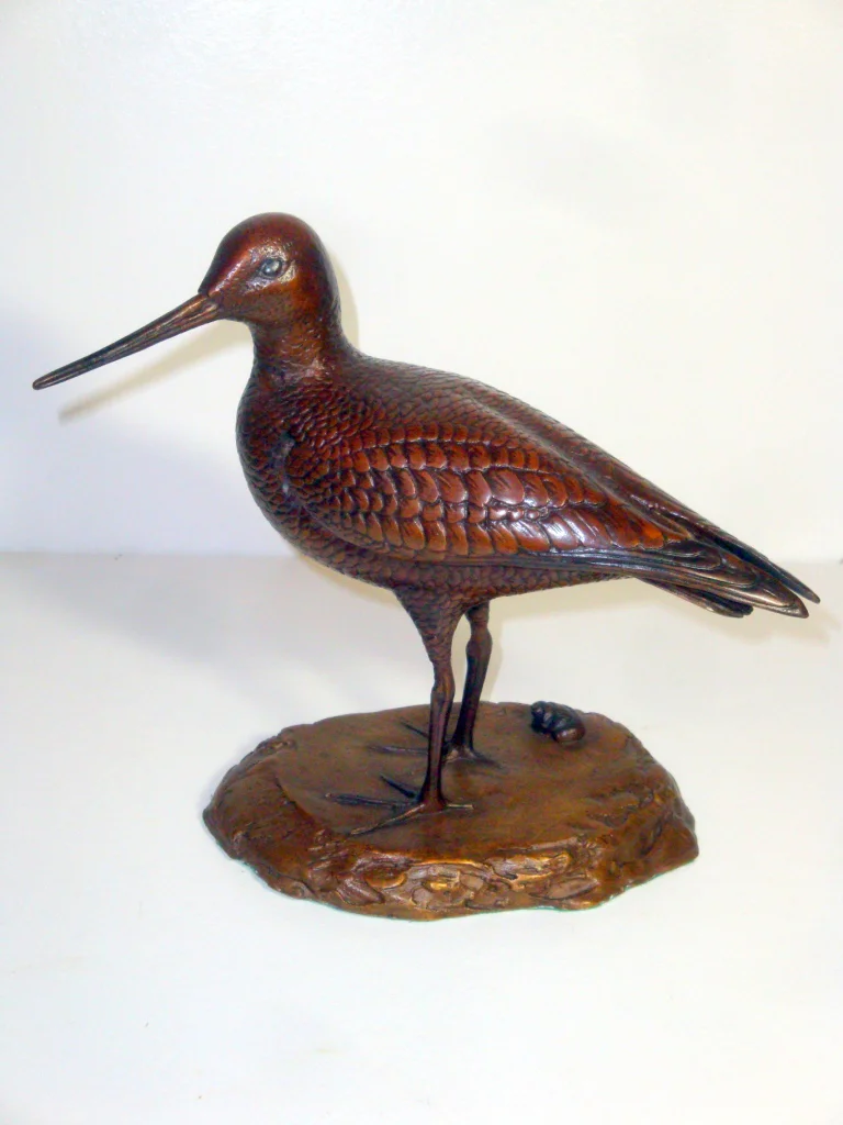 8a - Bronze Godwit.JPG