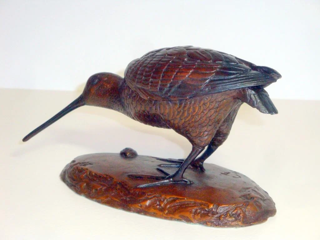 9b - Bronze Snipe.JPG