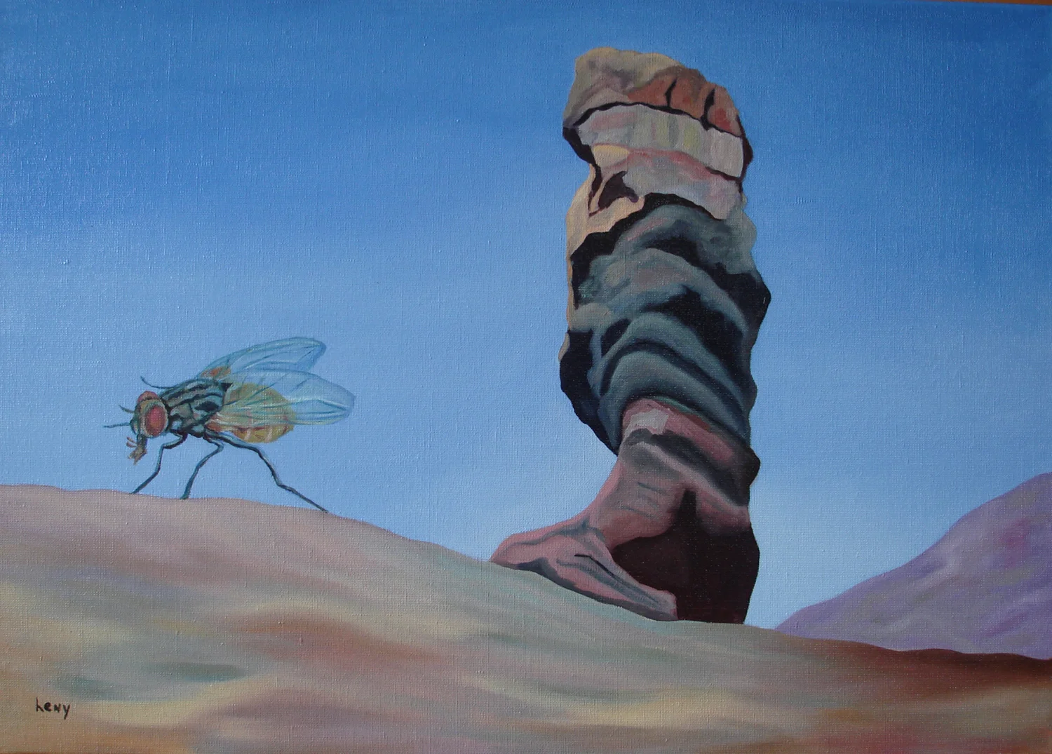 3 a fly came over.jpg