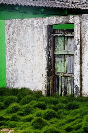8_GREEN_CUBA.jpg