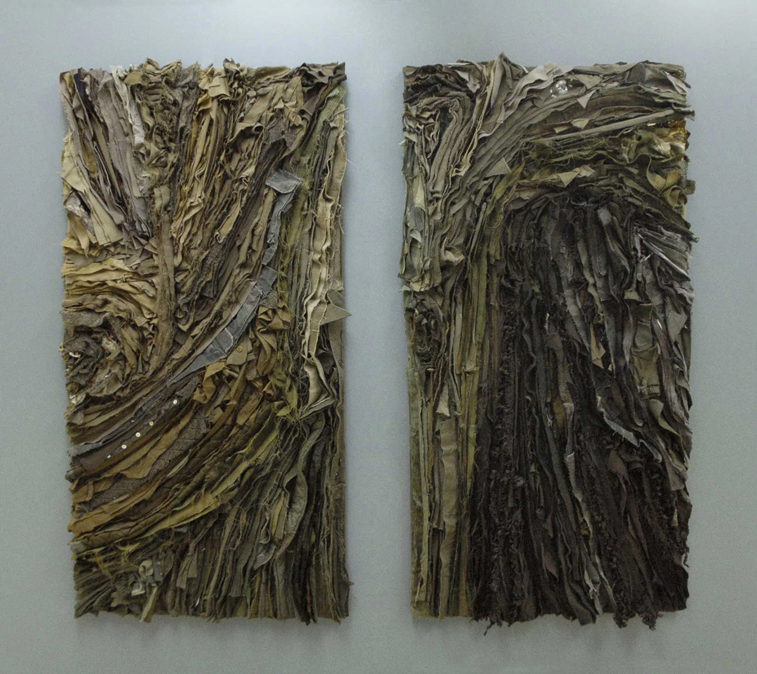 13.Reforested-2014.jpg