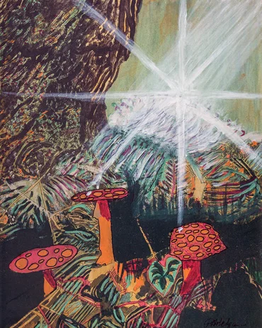 13_Star Forest.jpg