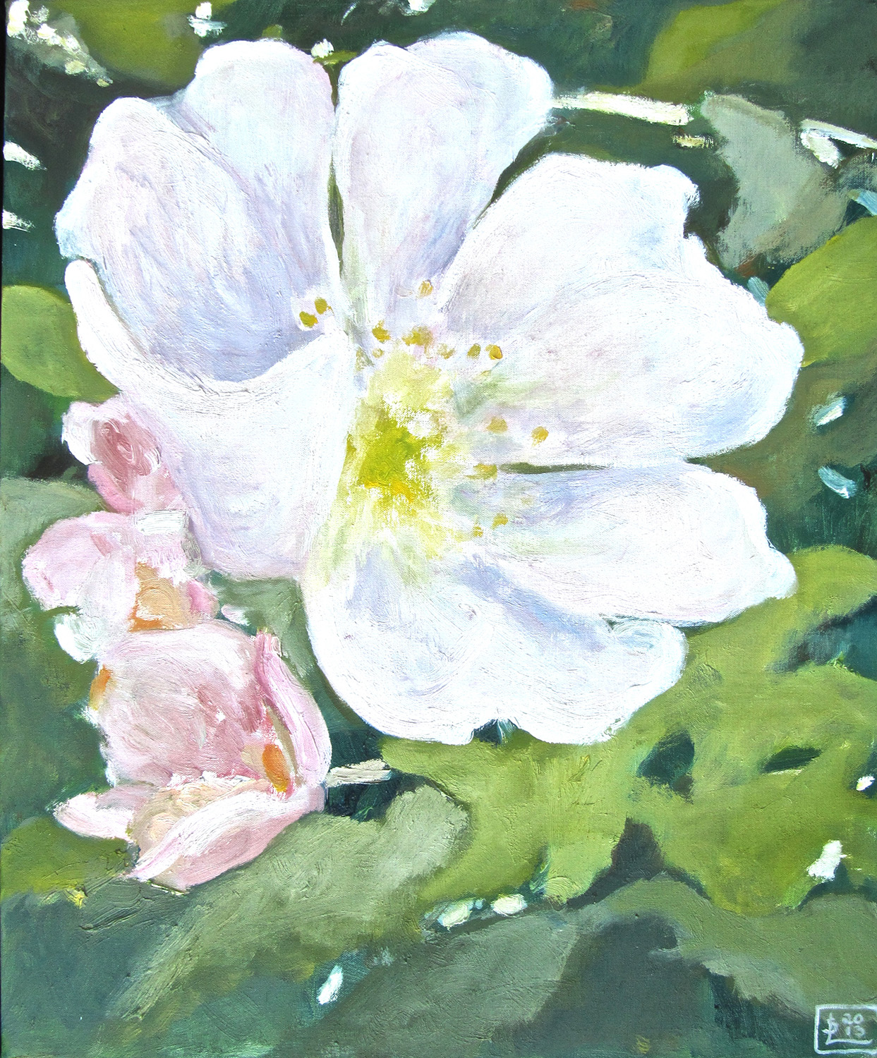 11_Rose.jpg