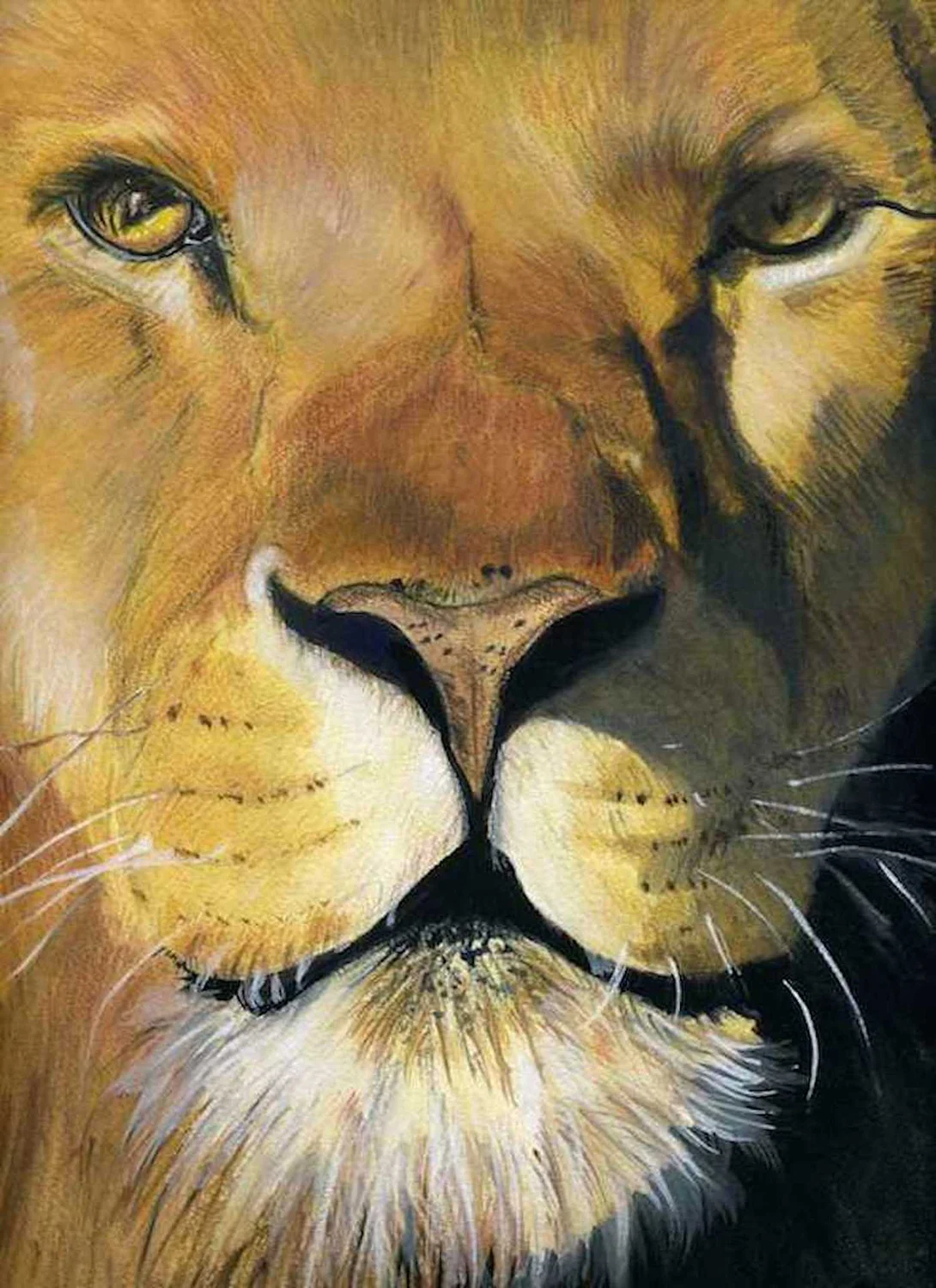 2. Lion .jpg