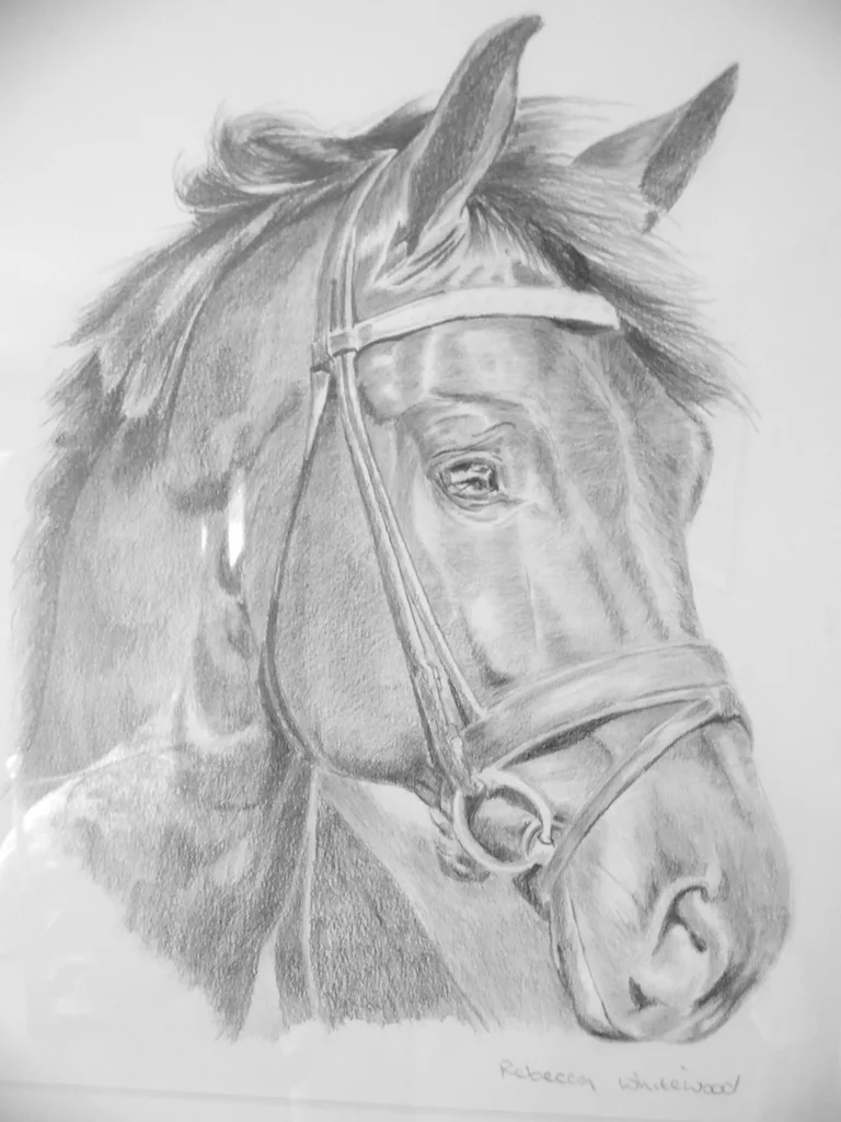8. Horse head.jpg