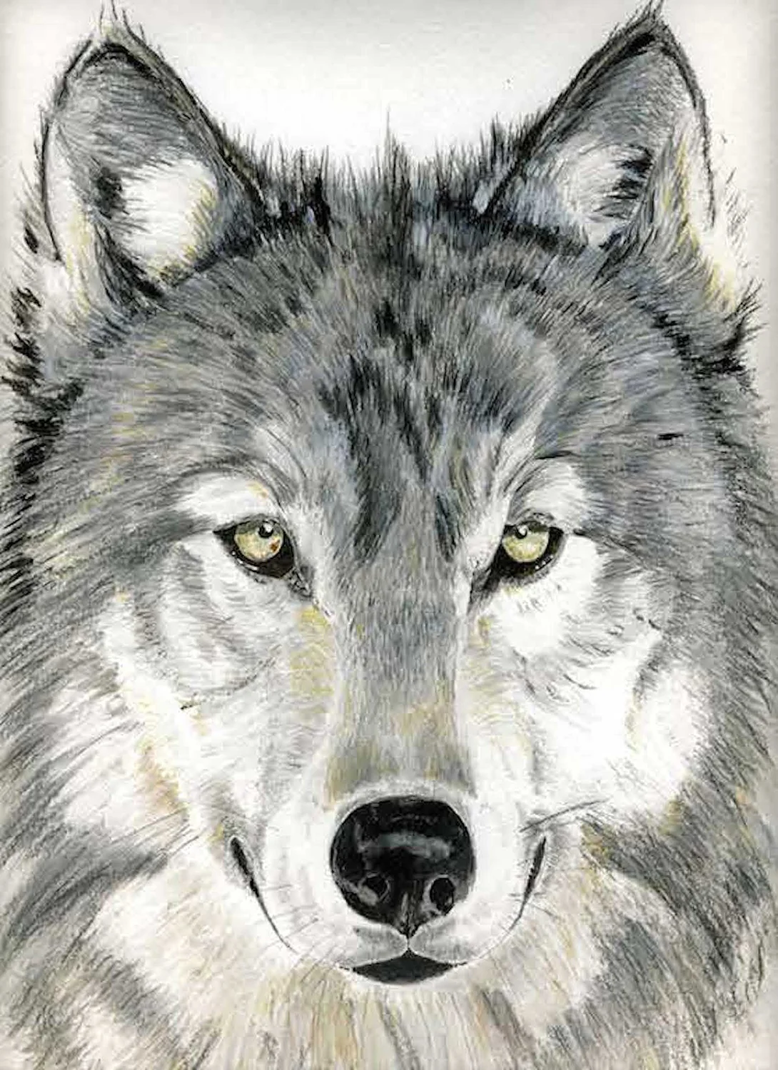 11.Wolf.jpg