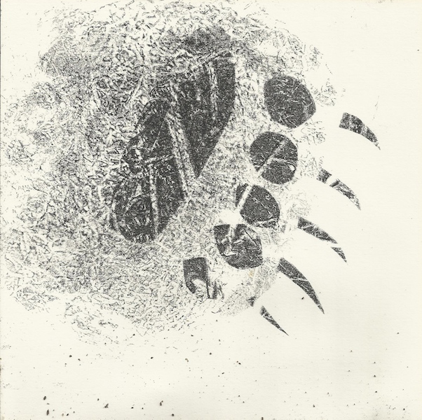 17. Bear Paw .jpg