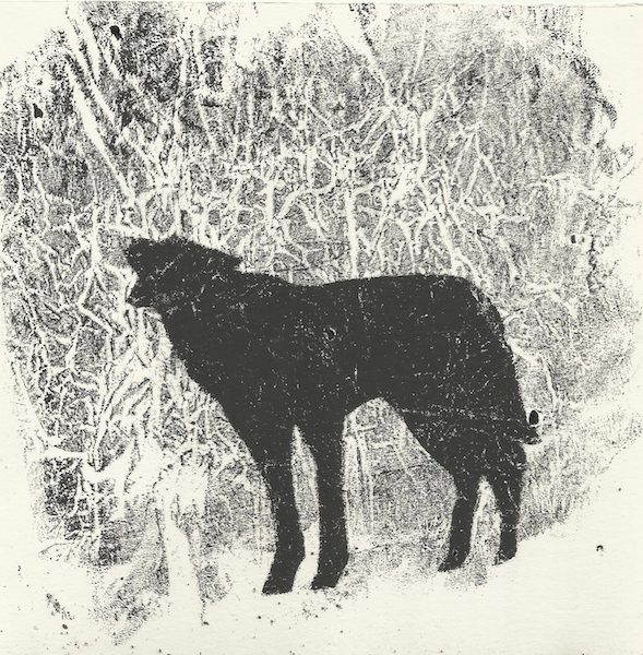 18.loan wolf .jpg
