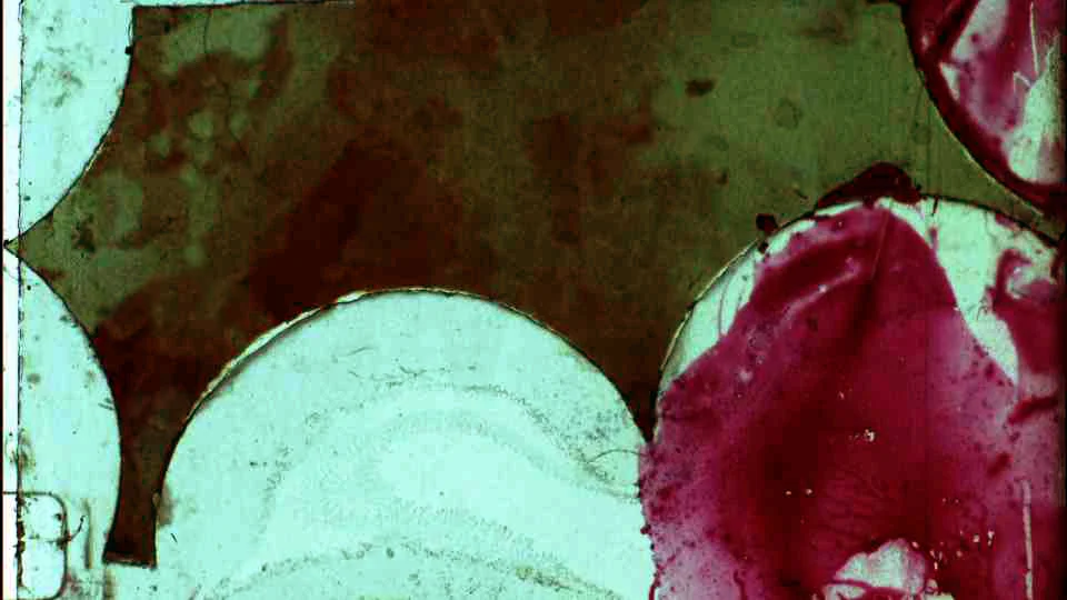 10_PLASMA106.jpg