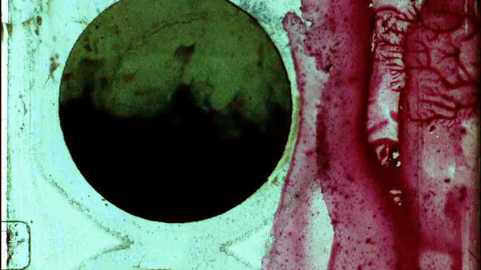 11_PLASMA107.jpg