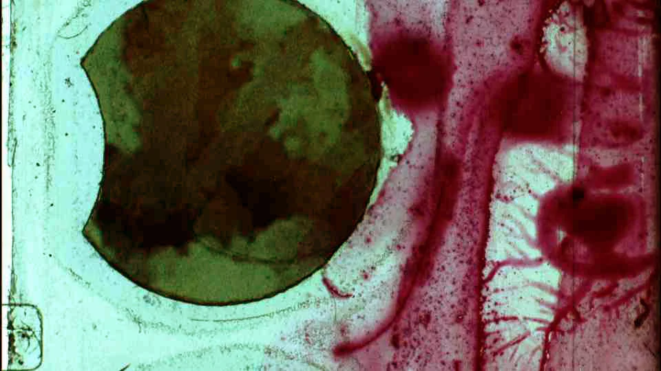 12_PLASMA108.jpg