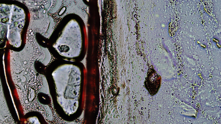 19_4APwLOV03112012VMRV124.jpg