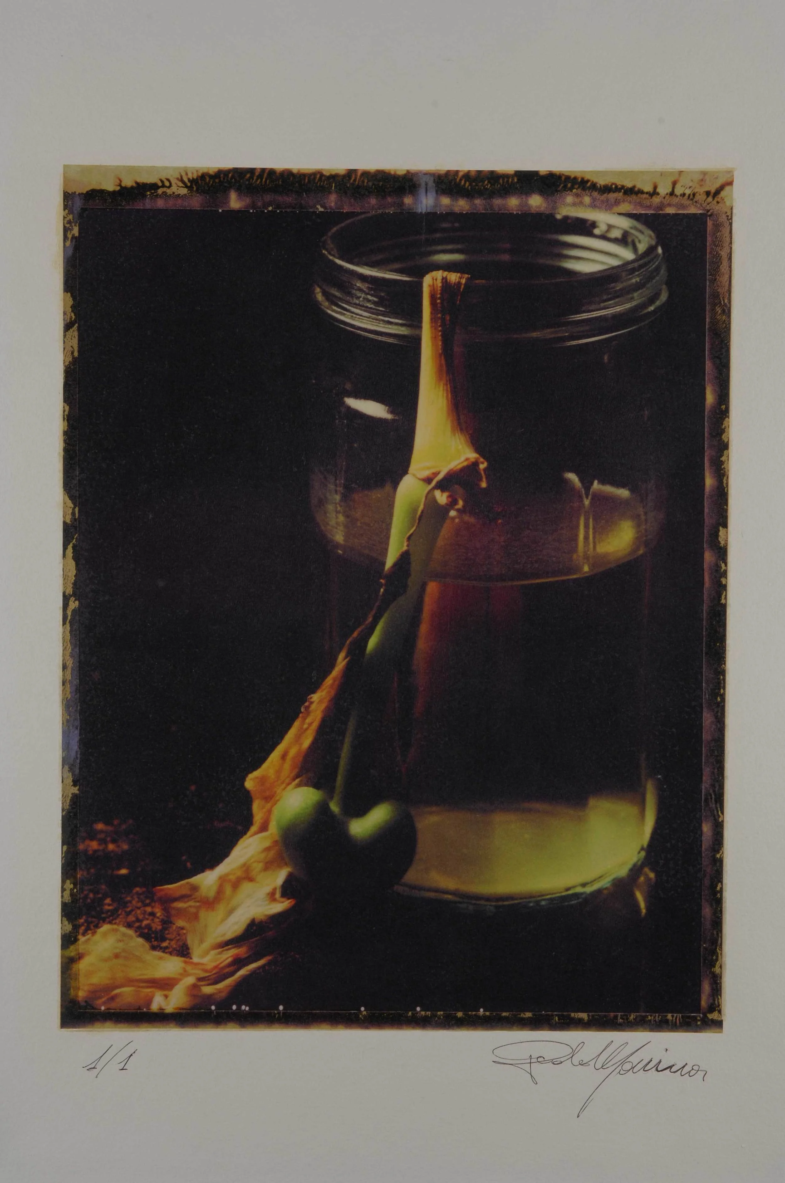5_The end of flower in vase.jpg