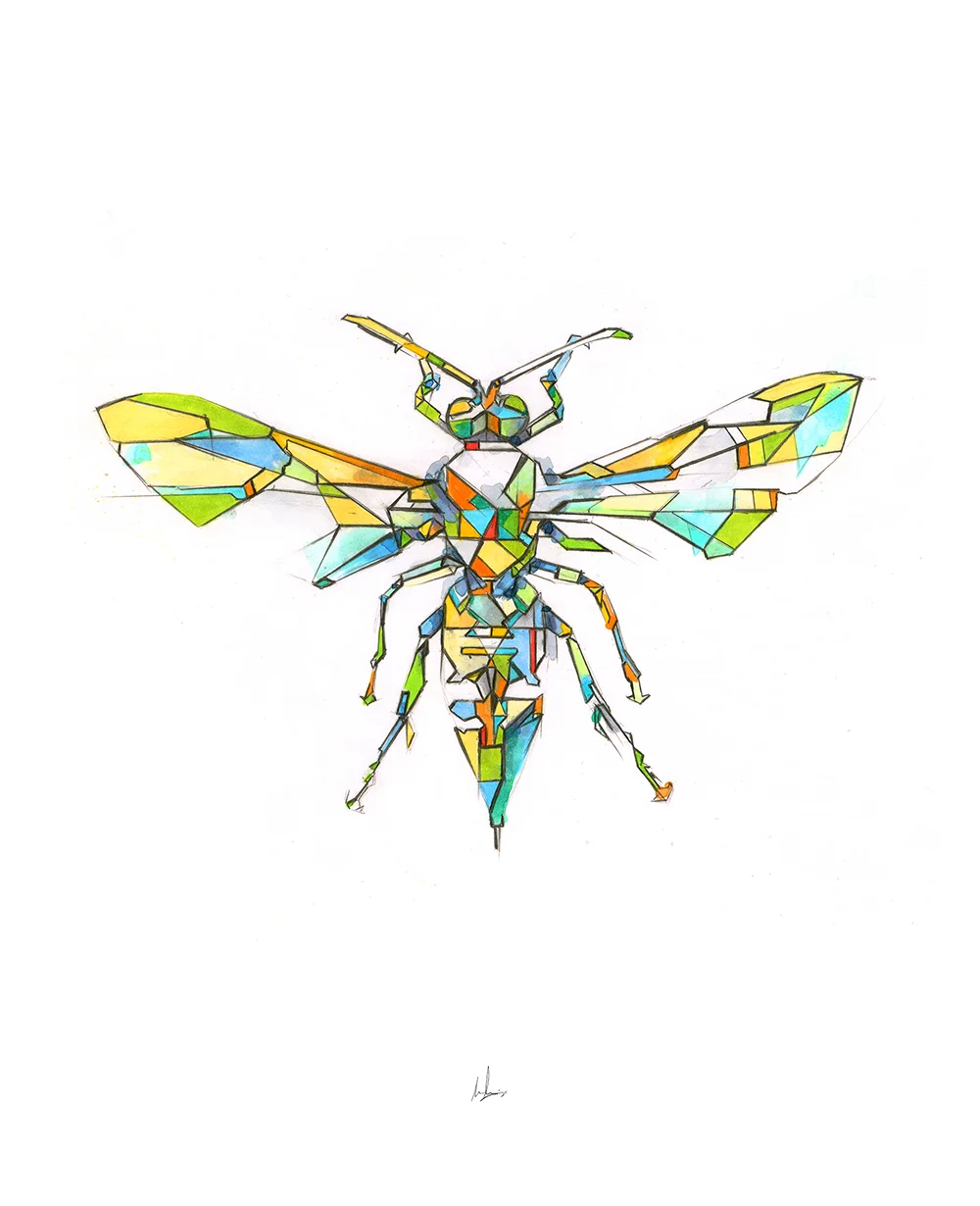 2_Hornet.jpg