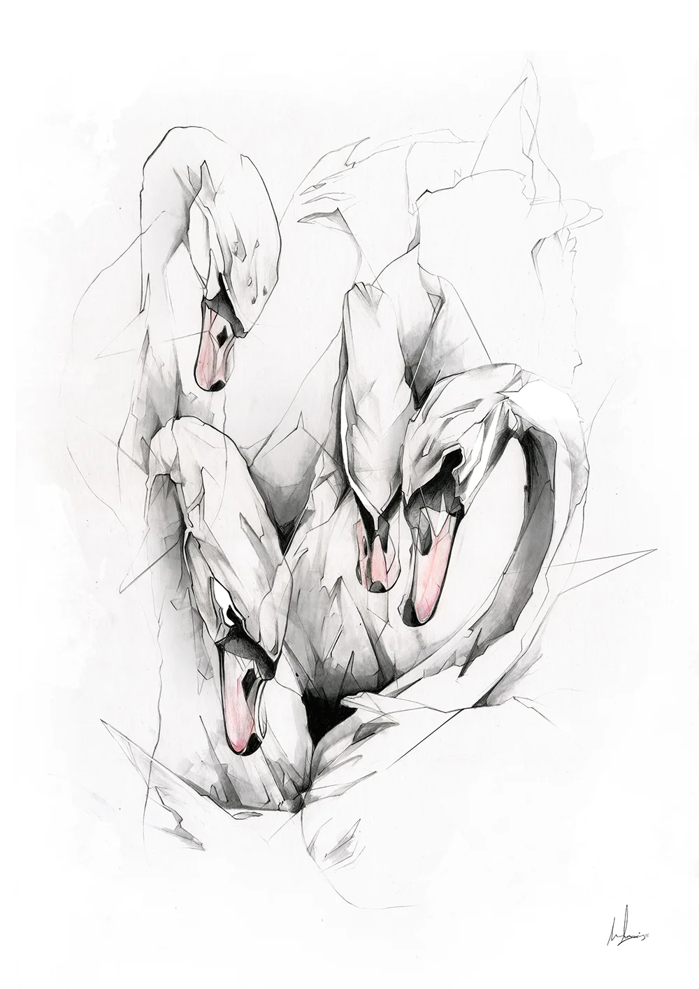 4_Swans.jpg
