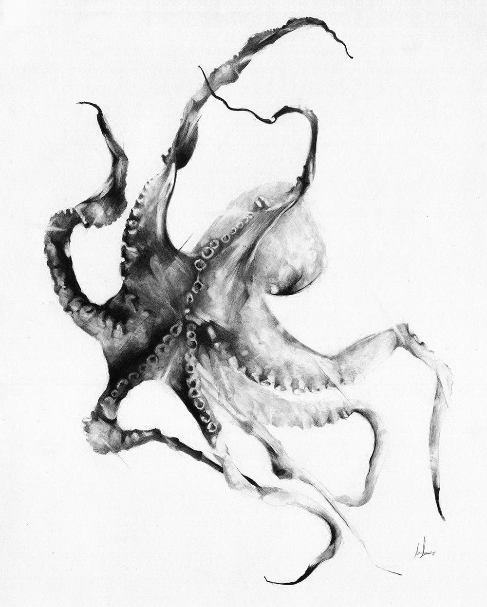 9_Octopus.jpg