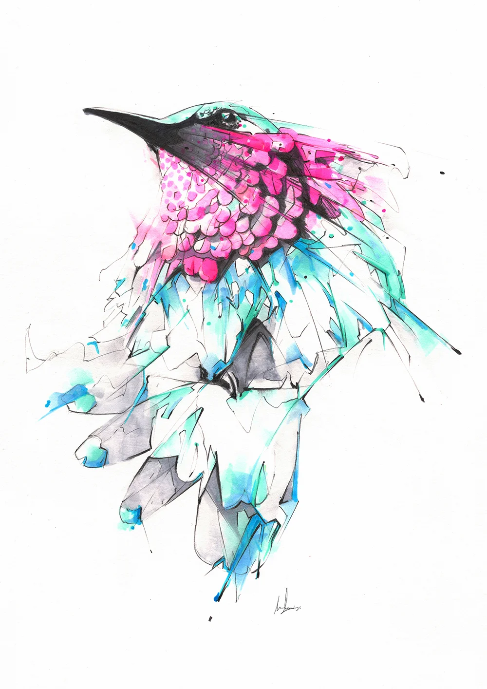 17_Hummingbird.jpg