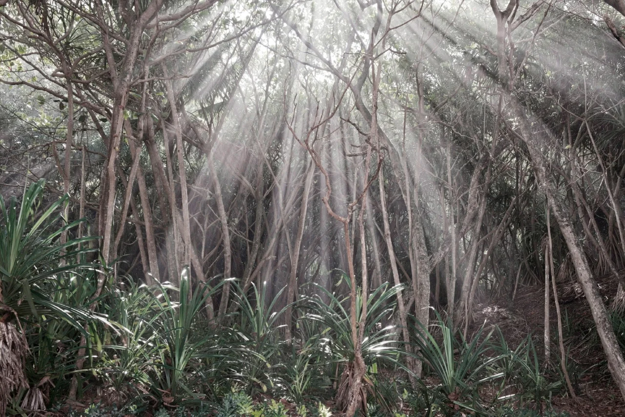 5_kauai_0123_15_cm.JPG