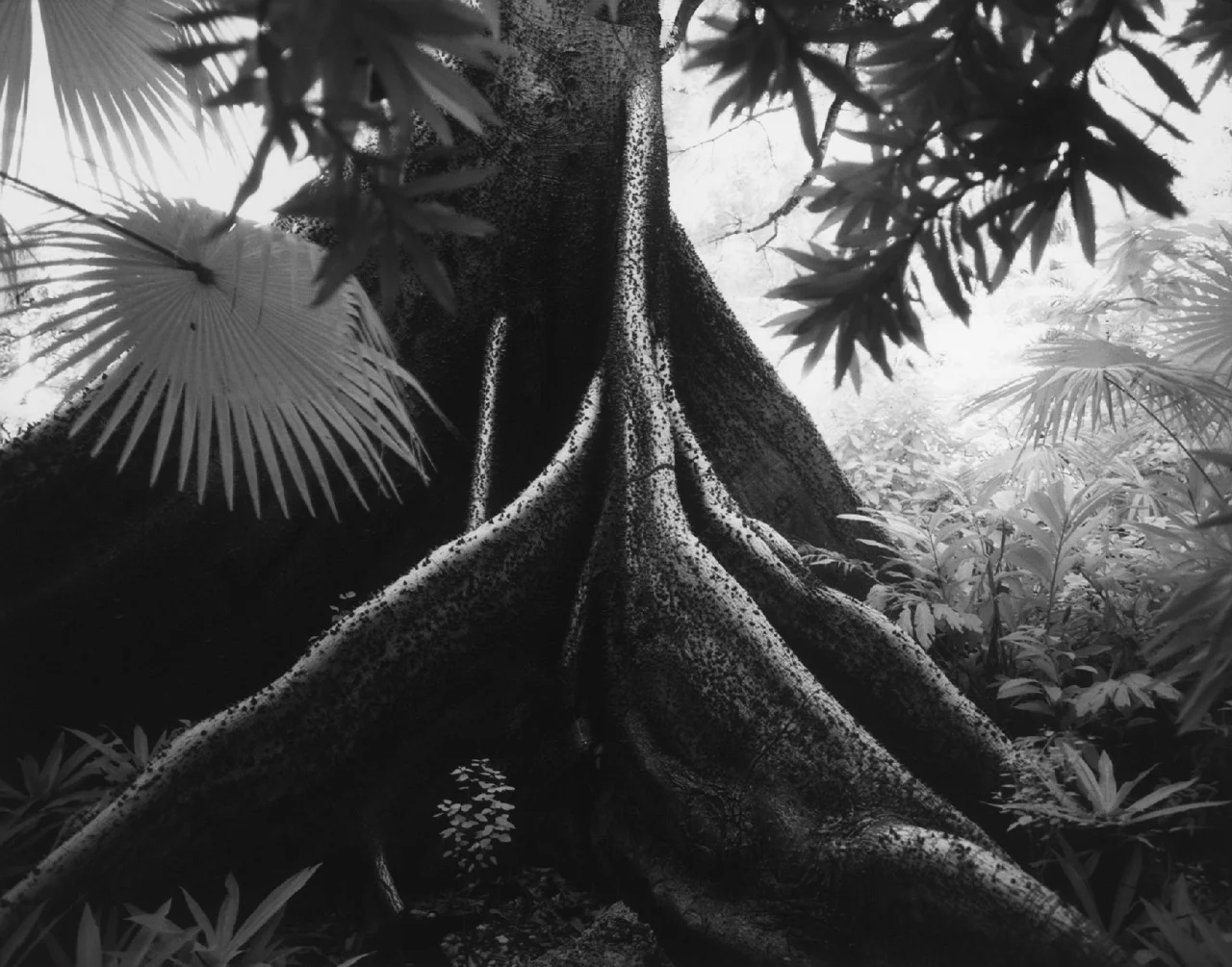 10_florida_03_07.JPG