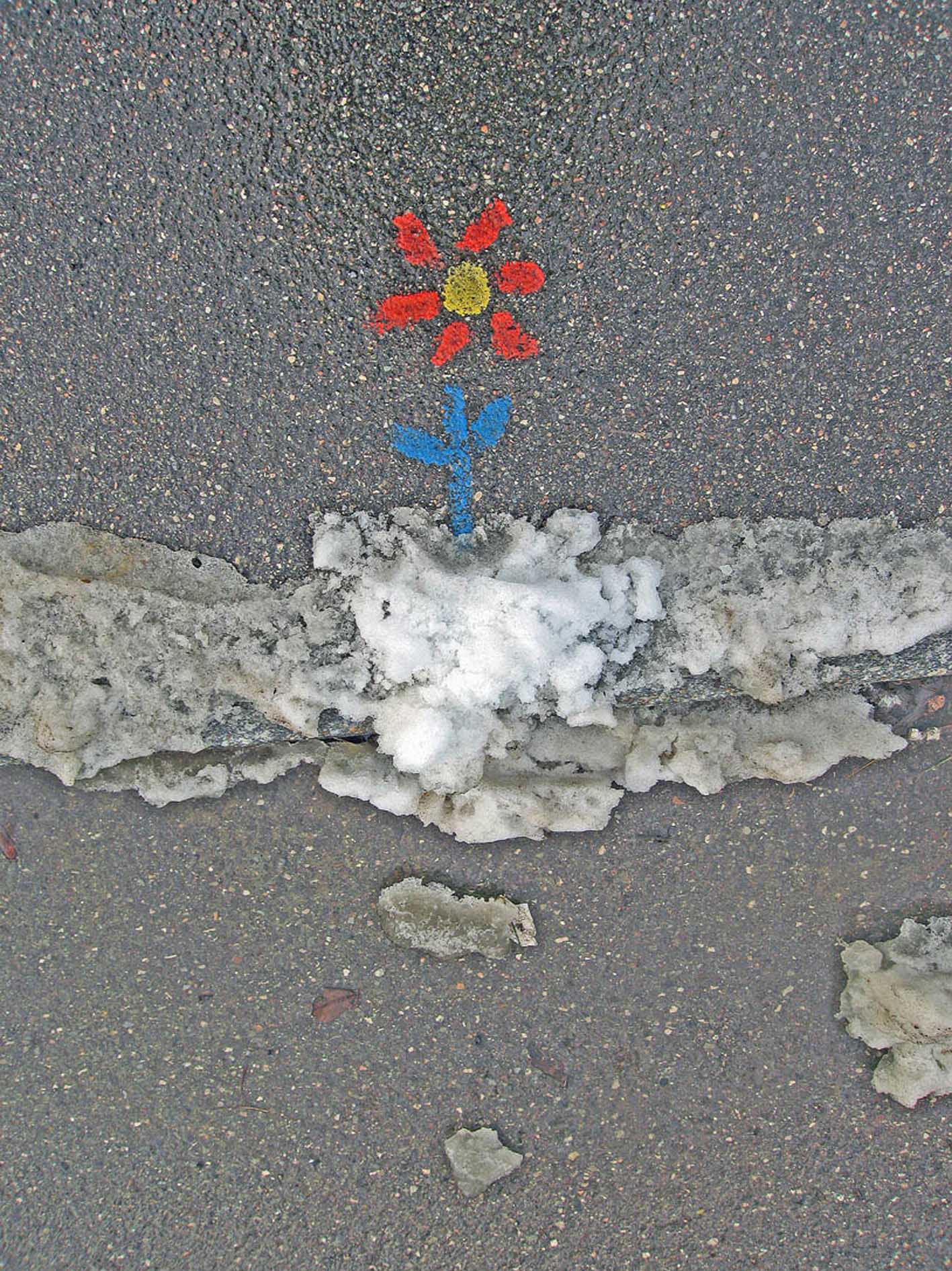 2_winterflower.jpg