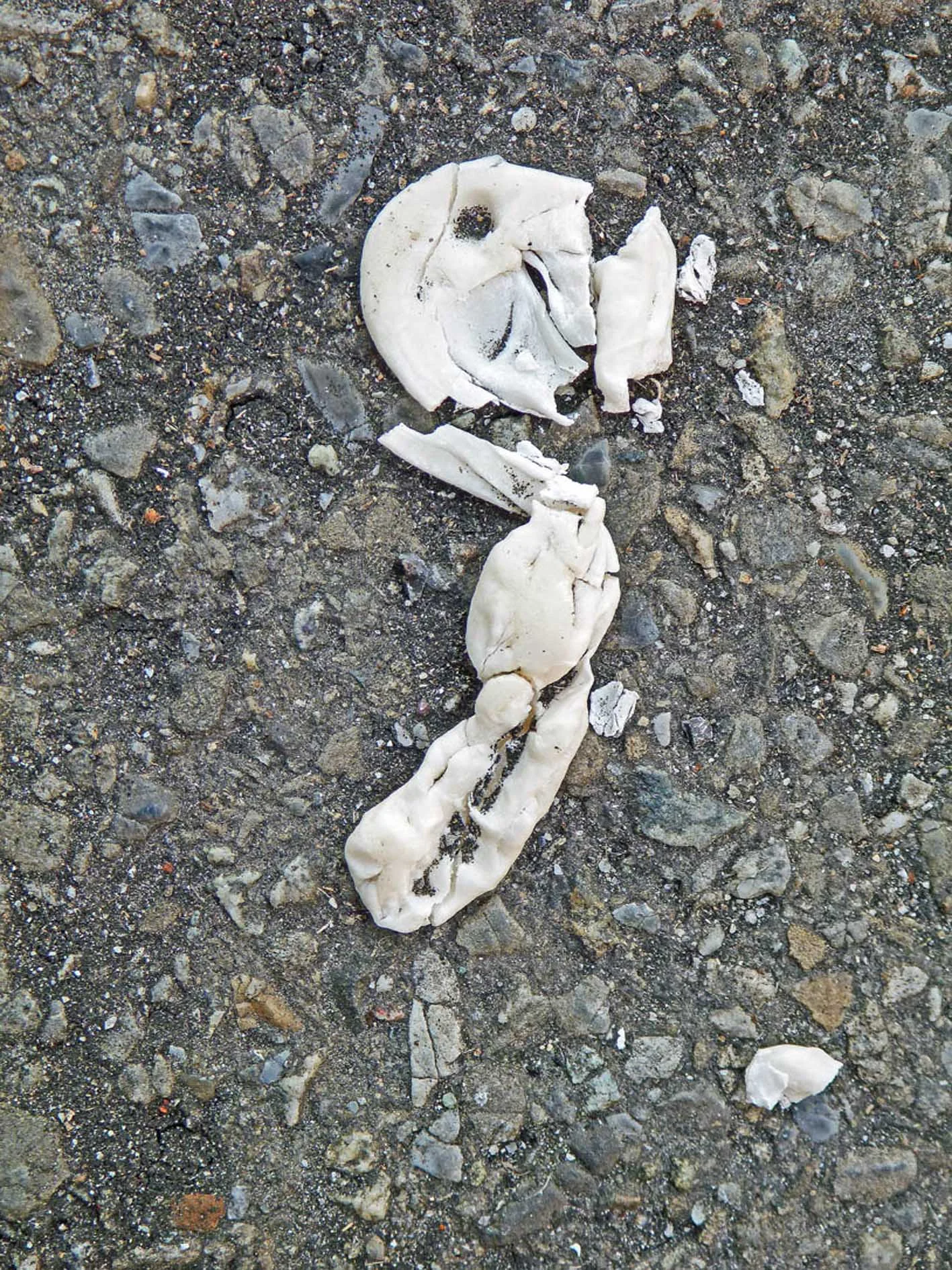 6_broken.jpg