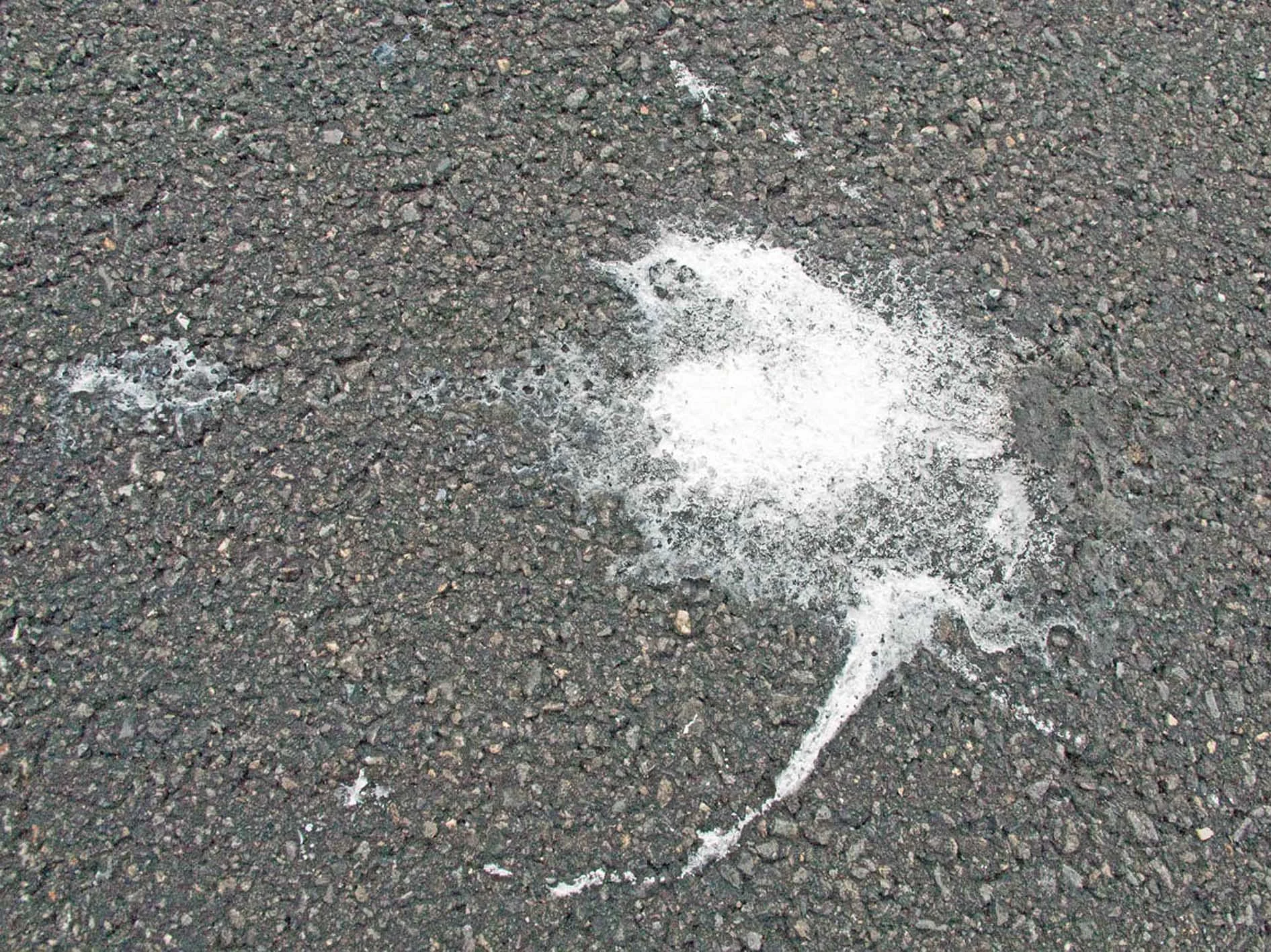 10_bird's-eye view.jpg