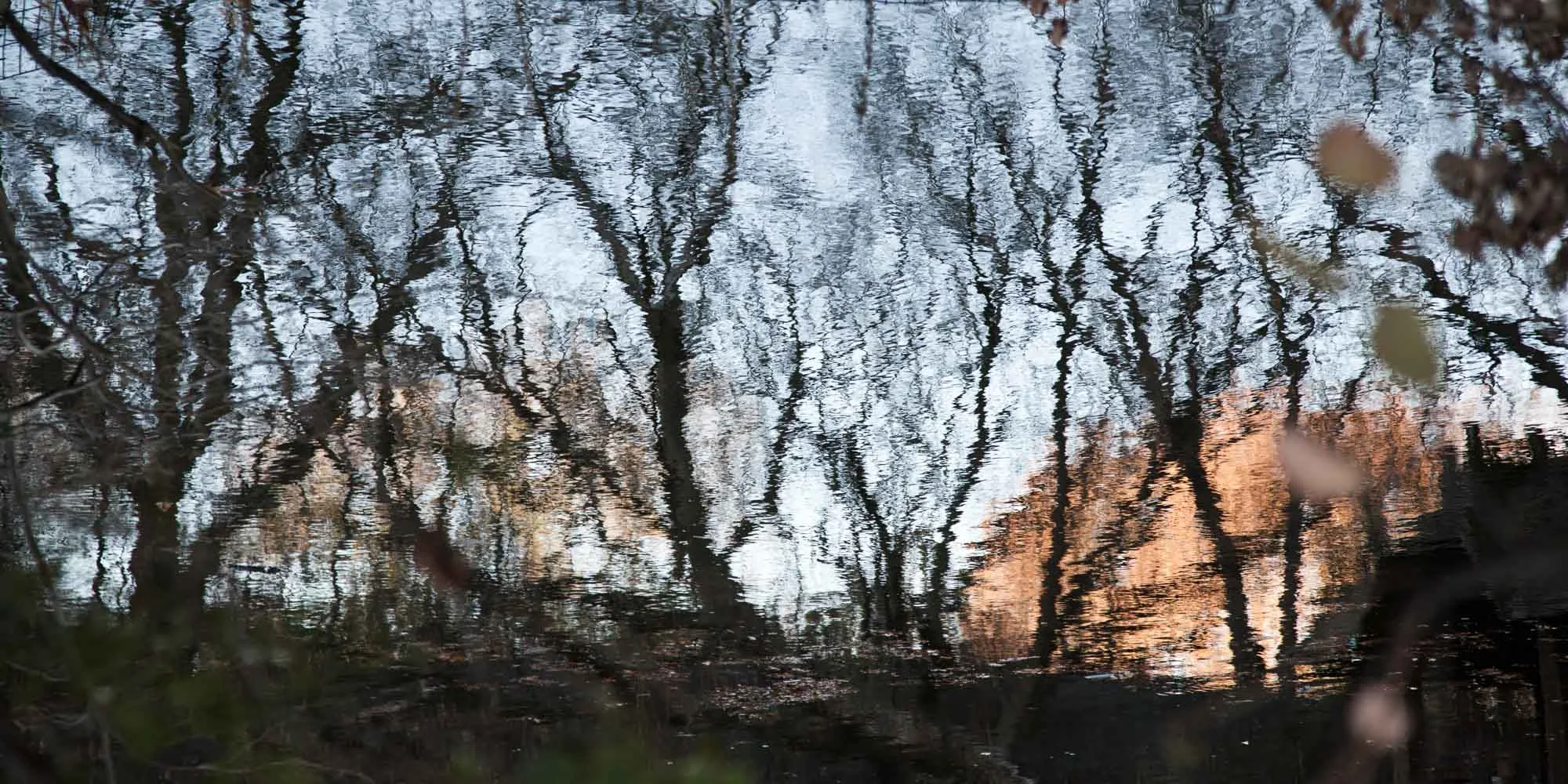 17-natural reflections.jpg
