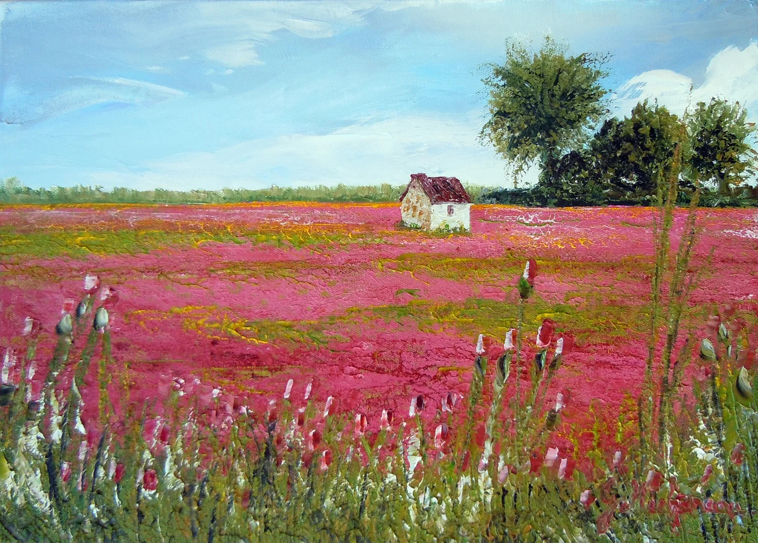 1_Crimson clover.jpg