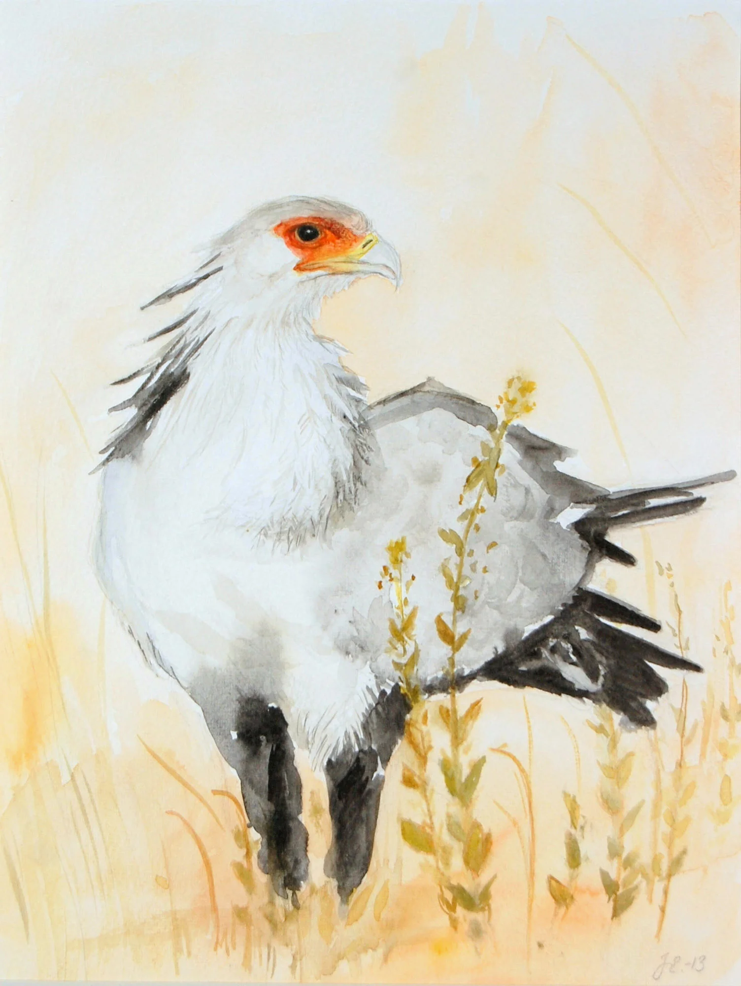 9_Proud Secretarybird.jpg