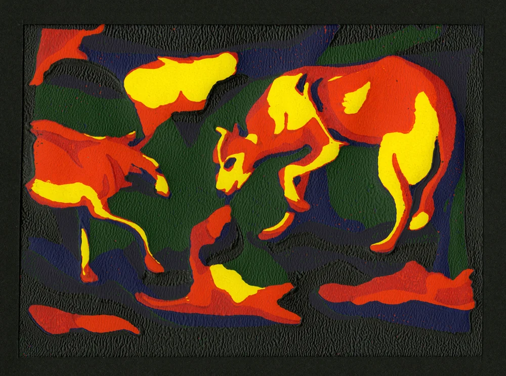 18_Dingoes_3.jpg