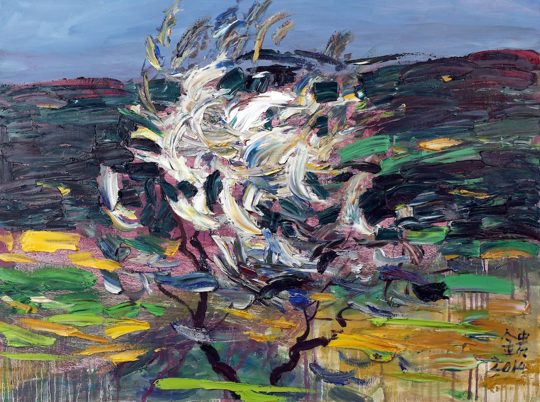 15_Flying Flag in the Wind.JPG