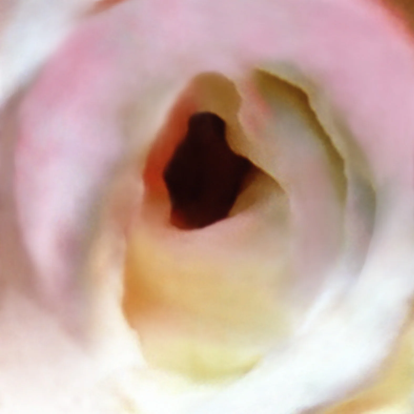 2. Untitled.jpg