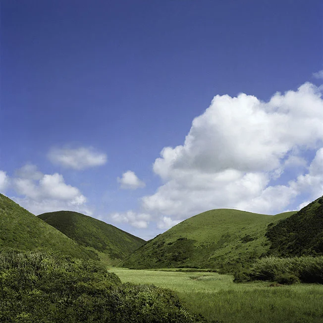 11. On the Green Grass.jpg