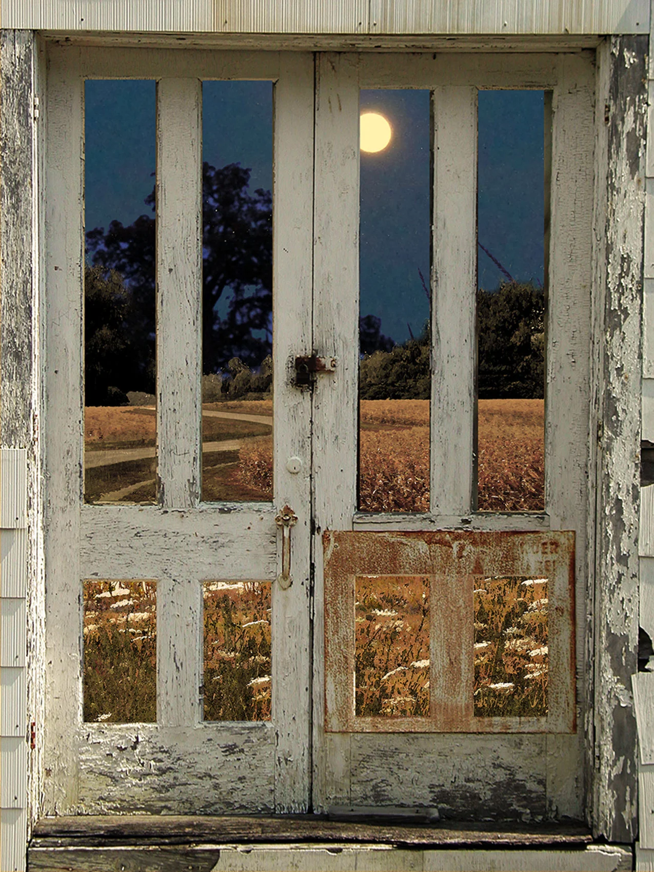 15_October-Night.jpg