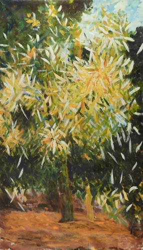Loblolly and Bamboo.jpg