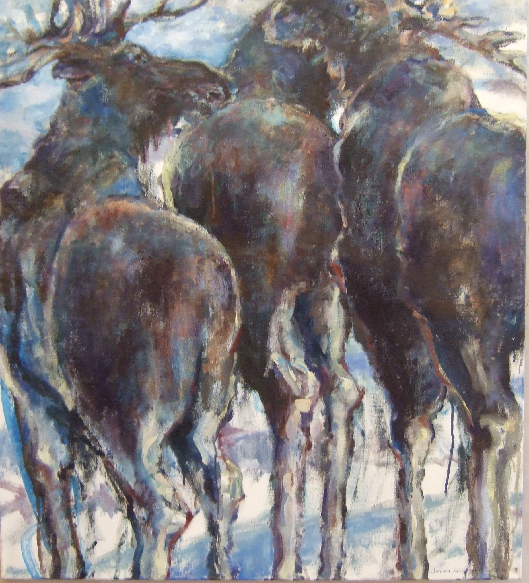 19.C Invited to the Mooses,serie of Mooses DSCF6312.JPG